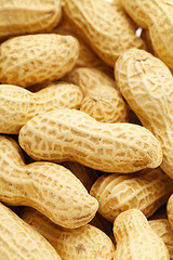 Image showing Dried peanut