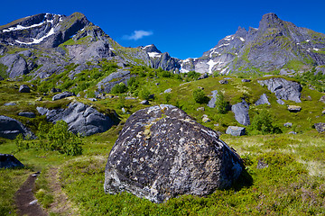 Image showing Norwegian landscape