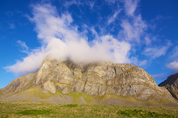 Image showing Coastal cliff