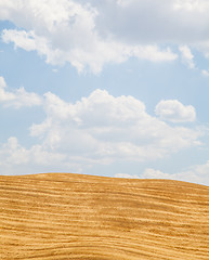 Image showing Country in Tuscany