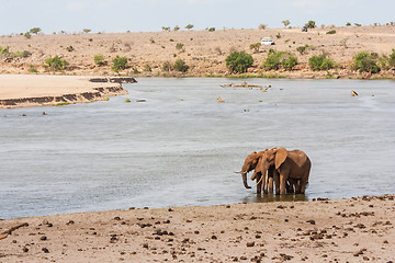 Image showing Safari in Kenya