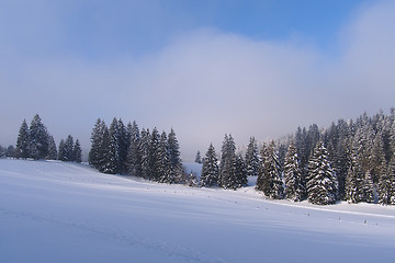 Image showing Jura Mountain in Winter at dawn, Metabief area