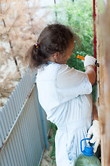 Image showing Pretty woman painting her house