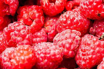 Image showing sweet raspberry fruit