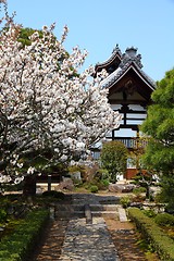 Image showing Arashiyama - Tenryuji temple