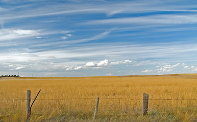 Image showing Clouds 1