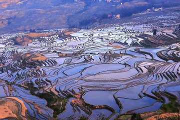 Image showing Terraced Fields