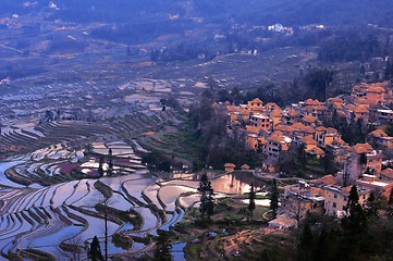 Image showing Terraced Fields