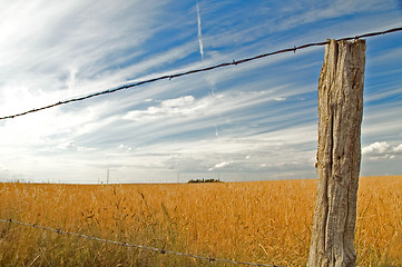 Image showing Clouds 2