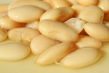 Image showing Beans salad