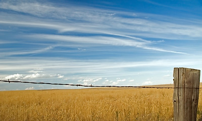 Image showing Clouds 4