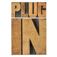 Image showing plugin (plug-in) in wood type