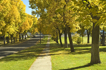 Image showing Autumn Trees 2