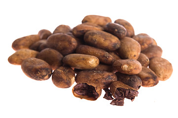 Image showing Cacao beans isolated on white background