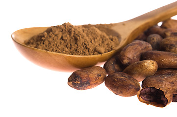 Image showing Cacao beans isolated on white background