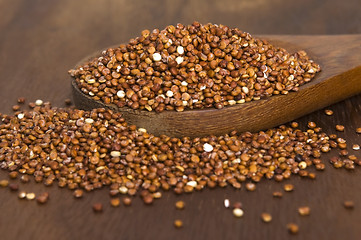 Image showing Quinoa grain