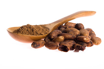 Image showing Cacao beans isolated on white background