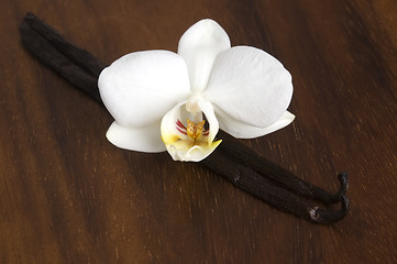 Image showing Vanilla pods and flower