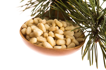 Image showing Pine nuts