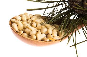 Image showing Pine nuts