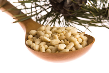 Image showing Pine nuts