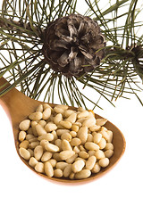 Image showing Pine nuts