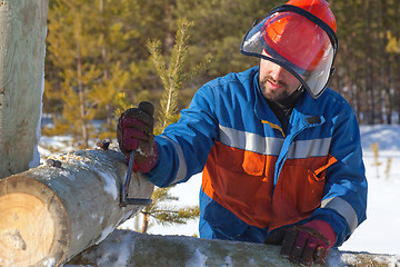 Image showing Worker in blue overalls mounts support power lines