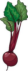 Image showing beet vegetable cartoon illustration