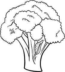 Image showing broccoli vegetable cartoon for coloring book