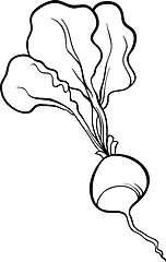 Image showing radish vegetable cartoon for coloring book