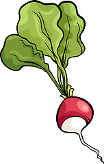 Image showing radish vegetable cartoon illustration