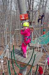 Image showing Little climber