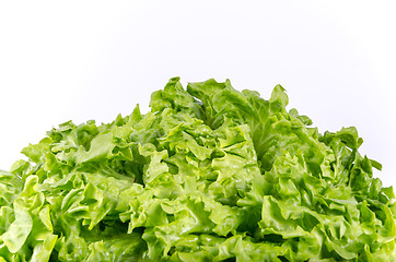 Image showing Texture of spring green lettuce leaves isolated on a white backg