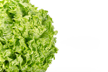 Image showing Texture of spring green lettuce leaves isolated on a white backg