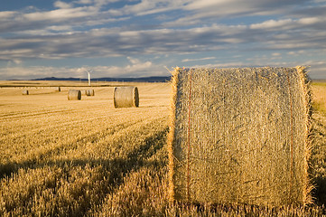 Image showing Hay bales 2