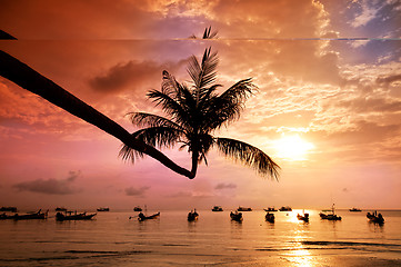 Image showing Sunset with palm and boats on tropical beach