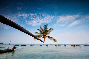 Image showing palm and boats on tropical beach, Thailand