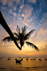 Image showing Sunset with palm and boats on tropical beach