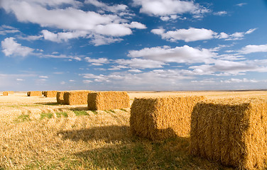 Image showing Hay bales 1