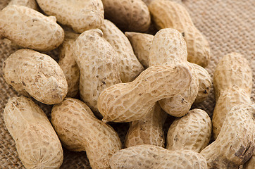 Image showing Peanuts