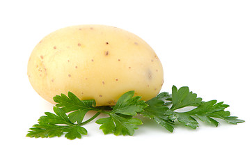 Image showing New potato and green parsley