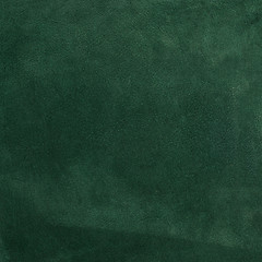 Image showing Green leather