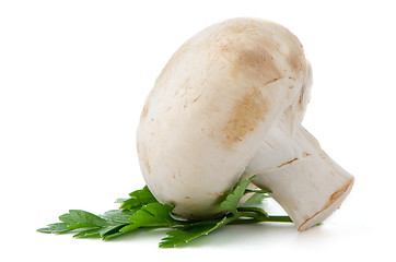 Image showing Champignon mushroom and parsley leaves 