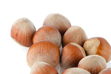 Image showing Fresh hazelnuts 