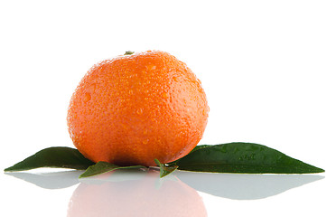 Image showing Fresh orange mandarin