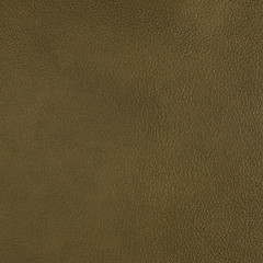 Image showing Dark green leather