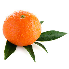 Image showing Fresh orange mandarin