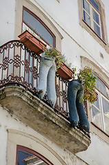 Image showing Modern recycled jeans vase with plants 