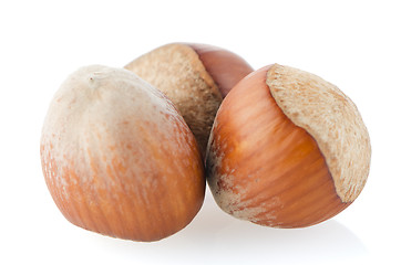 Image showing Three hazelnuts