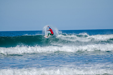 Image showing Vasco Ribeiro